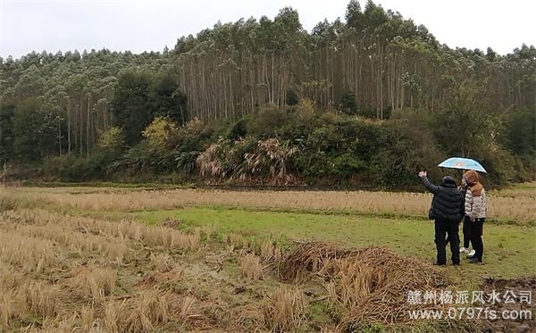 海东市陈老师带着爱徒寻龙点穴